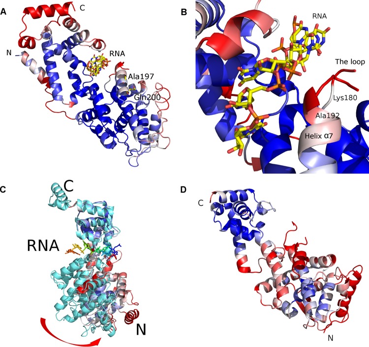 FIG 3