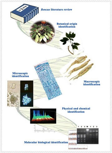 Fig. 2