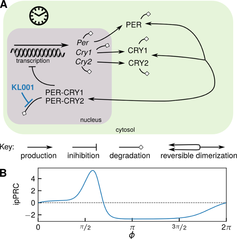 Figure 2: