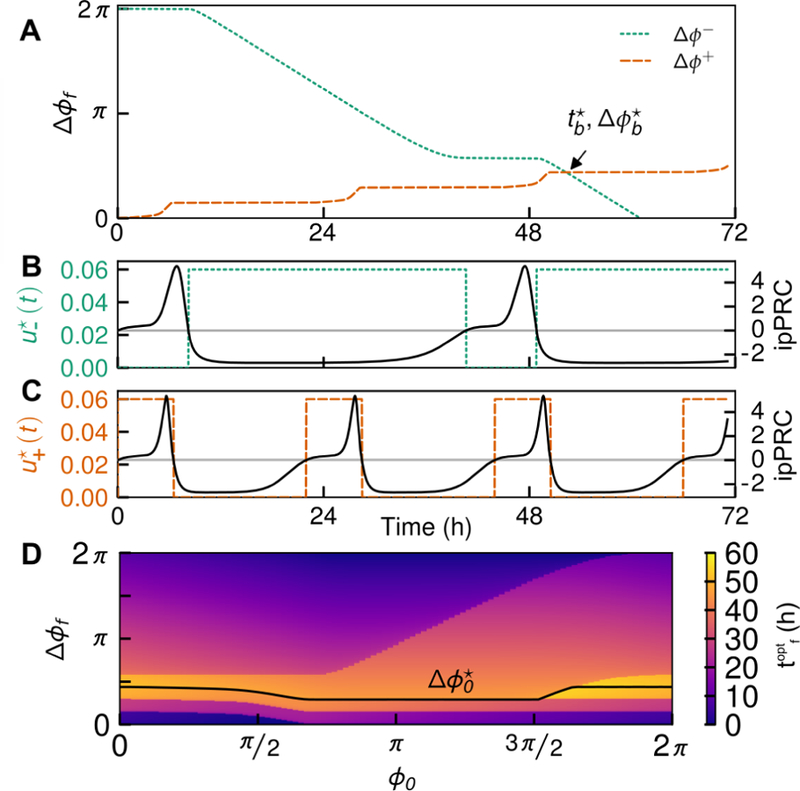 Figure 3: