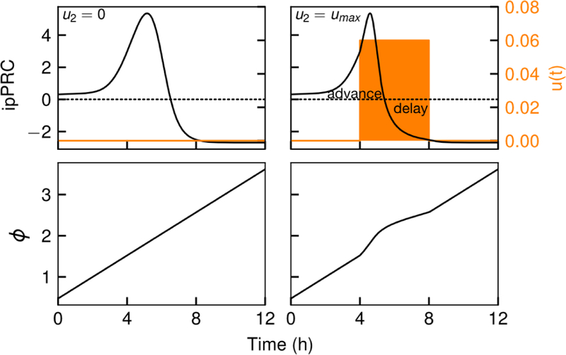 Figure 5: