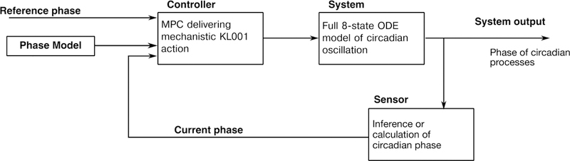 Figure 4: