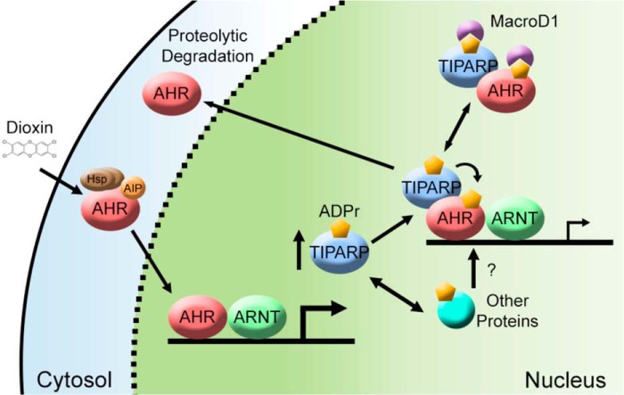 FIGURE 12.