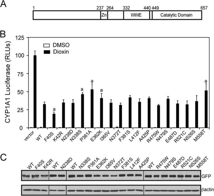 FIGURE 11.