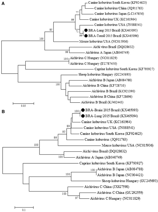 Fig. 2