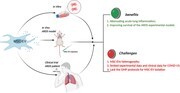 Graphical Abstract