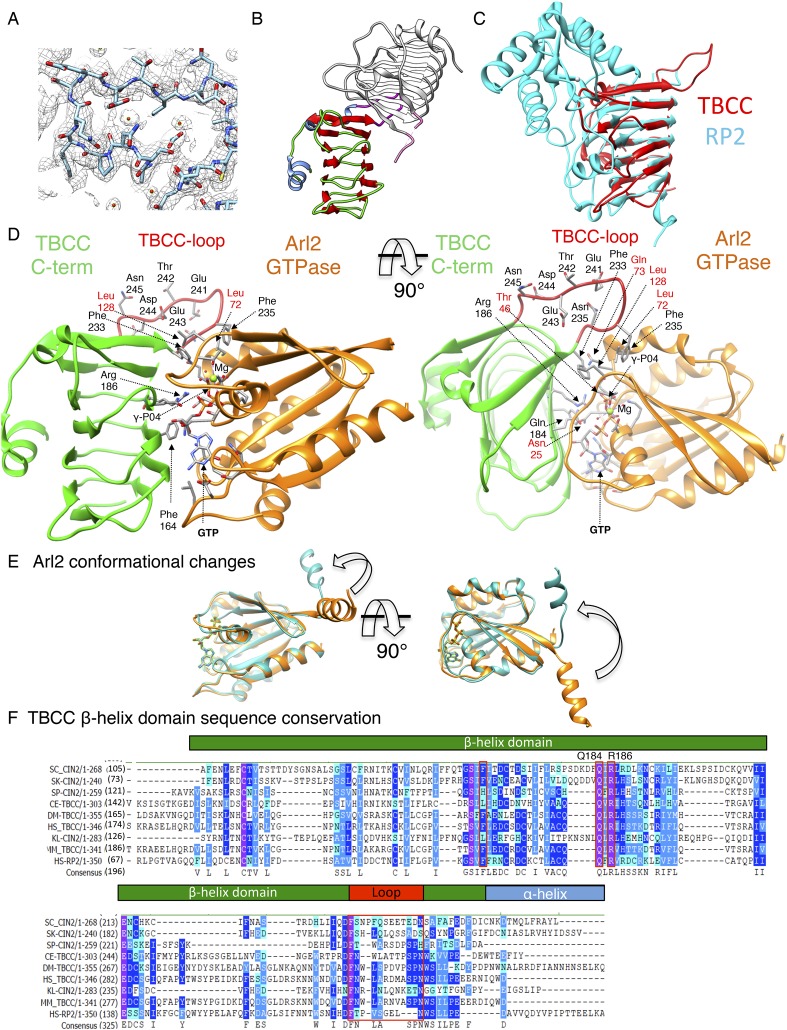 Figure 6—figure supplement 1.