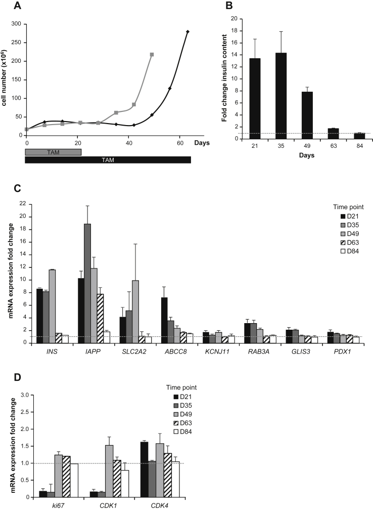 Figure 6