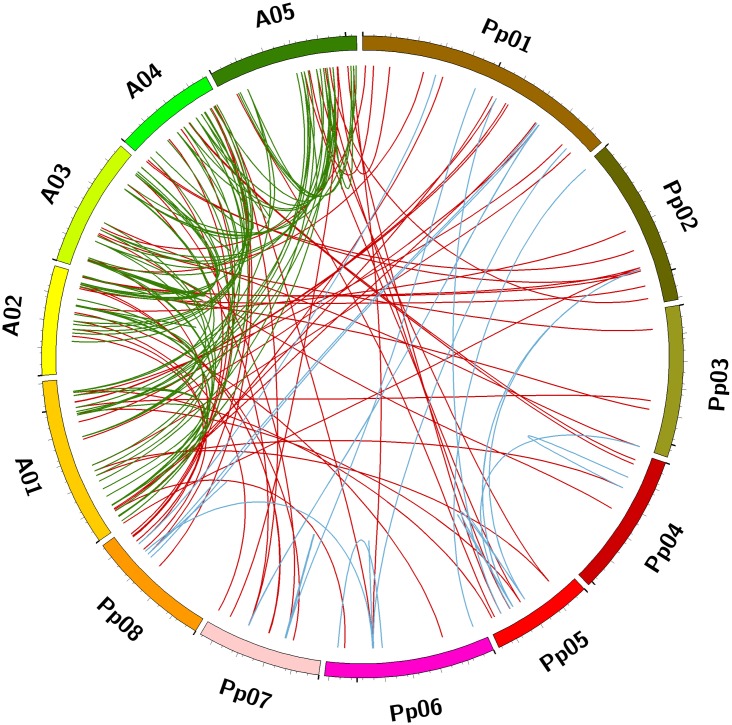 Fig 6