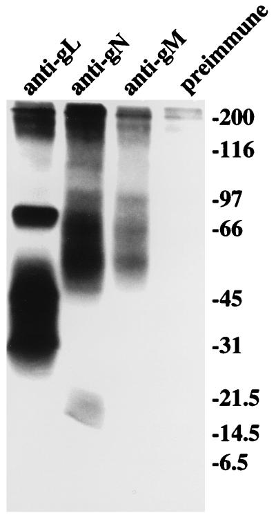 FIG. 8