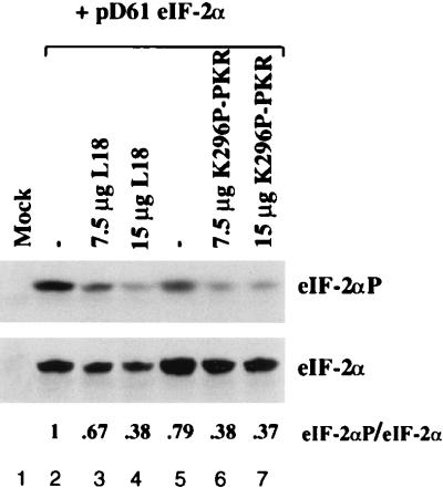 FIG. 6