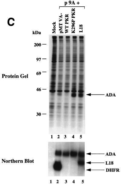 FIG. 5