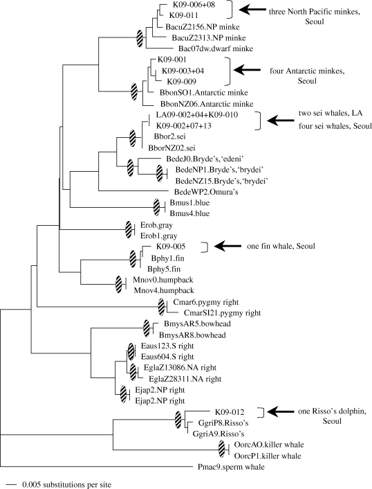 Figure 1.