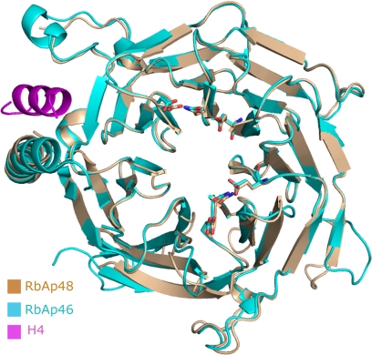 FIGURE 4.