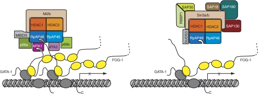 FIGURE 7.