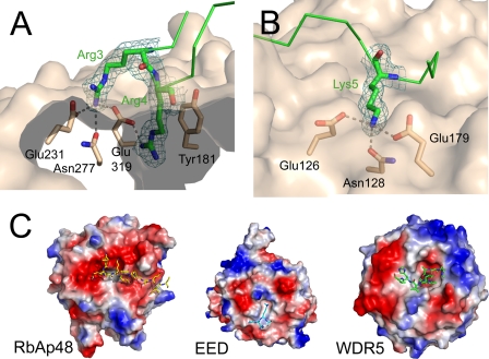 FIGURE 3.