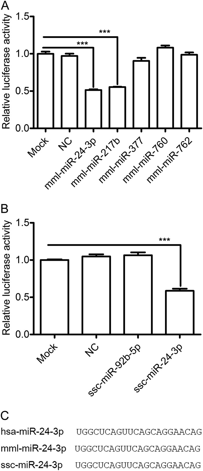 FIG 1