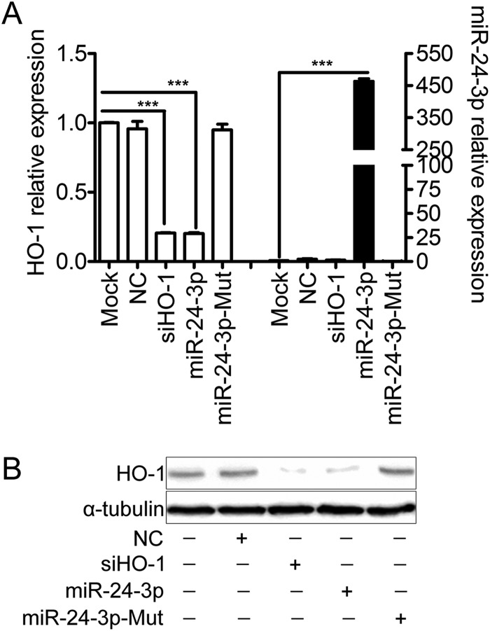 FIG 5