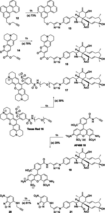 Scheme 3