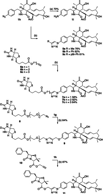 Scheme 2