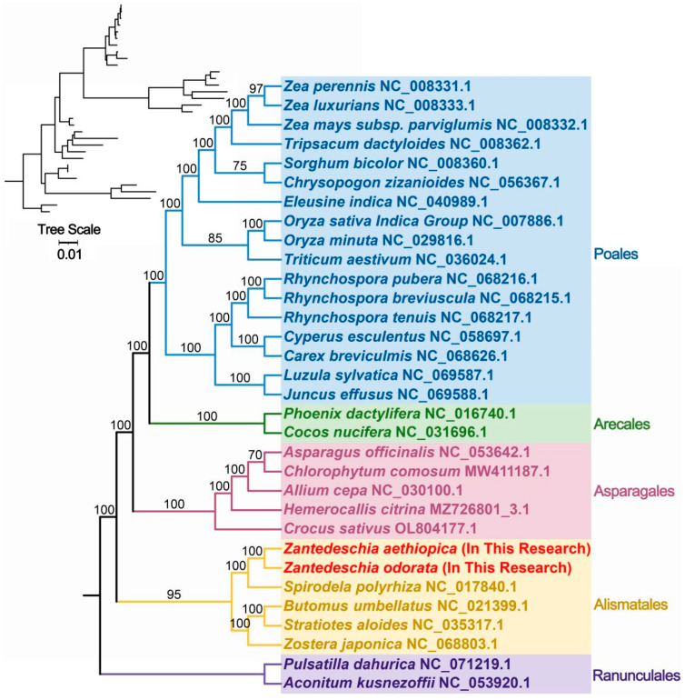 Figure 6