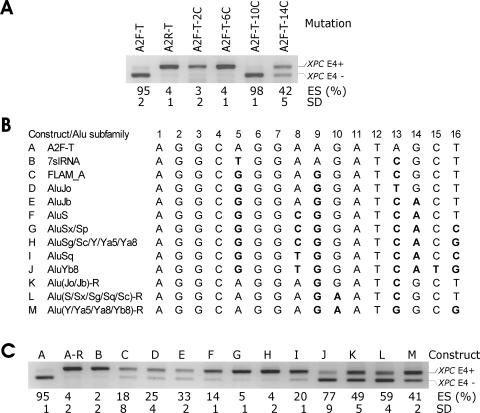 FIG. 4.