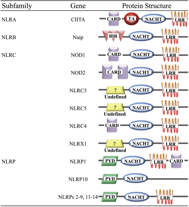 Figure 2