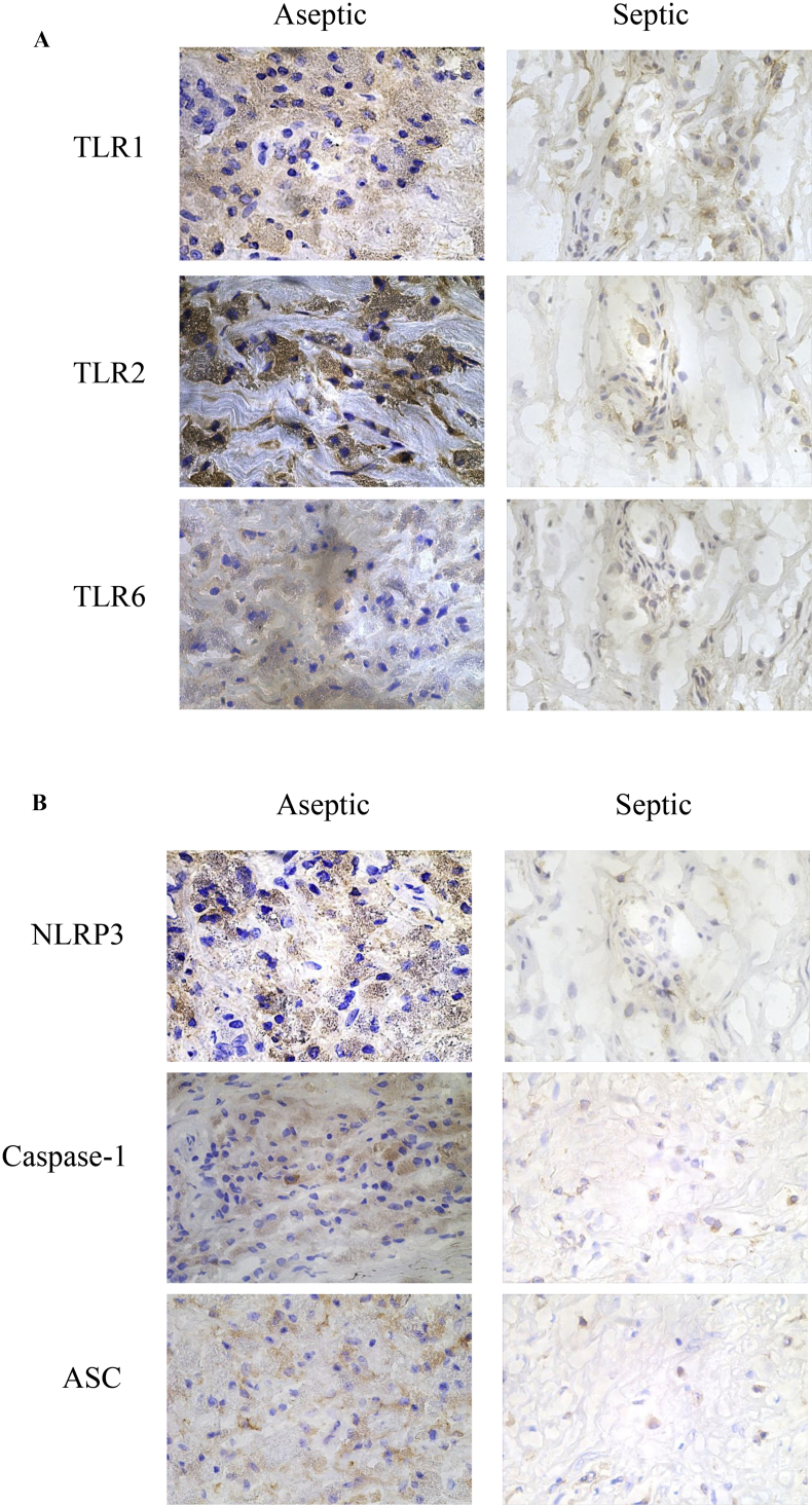 Figure 4