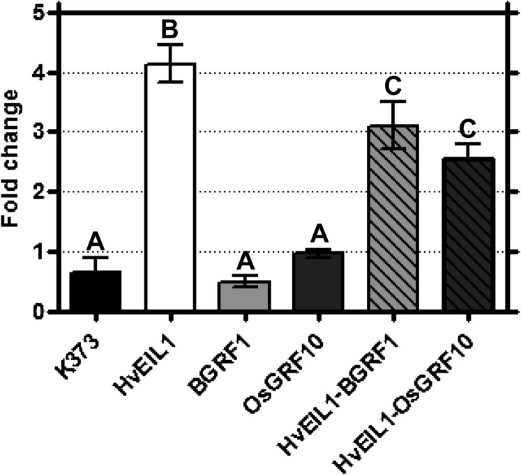 Figure 6.