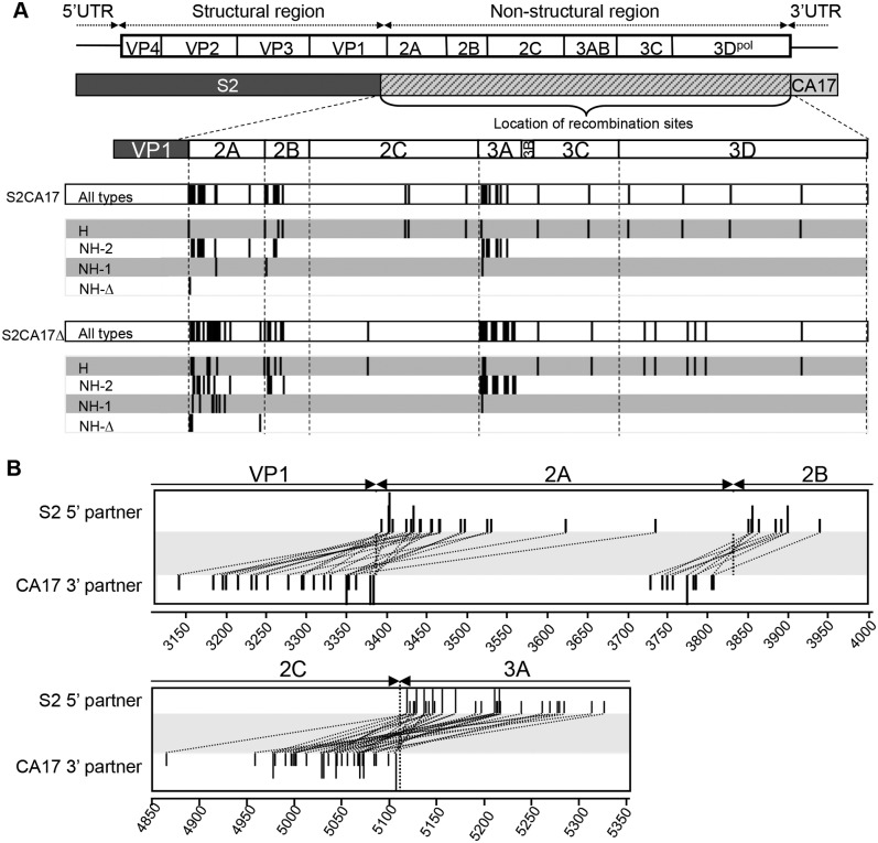 FIG 3 