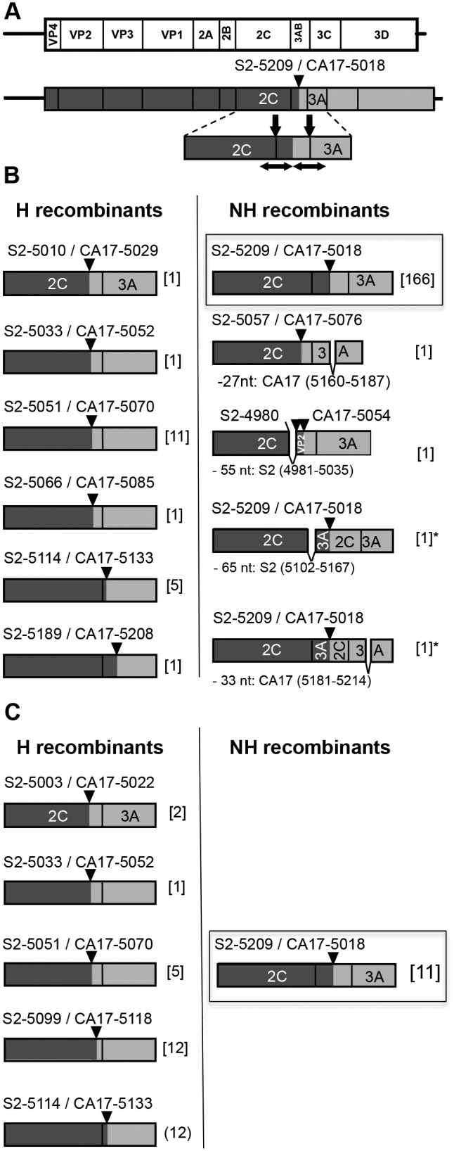 FIG 4 