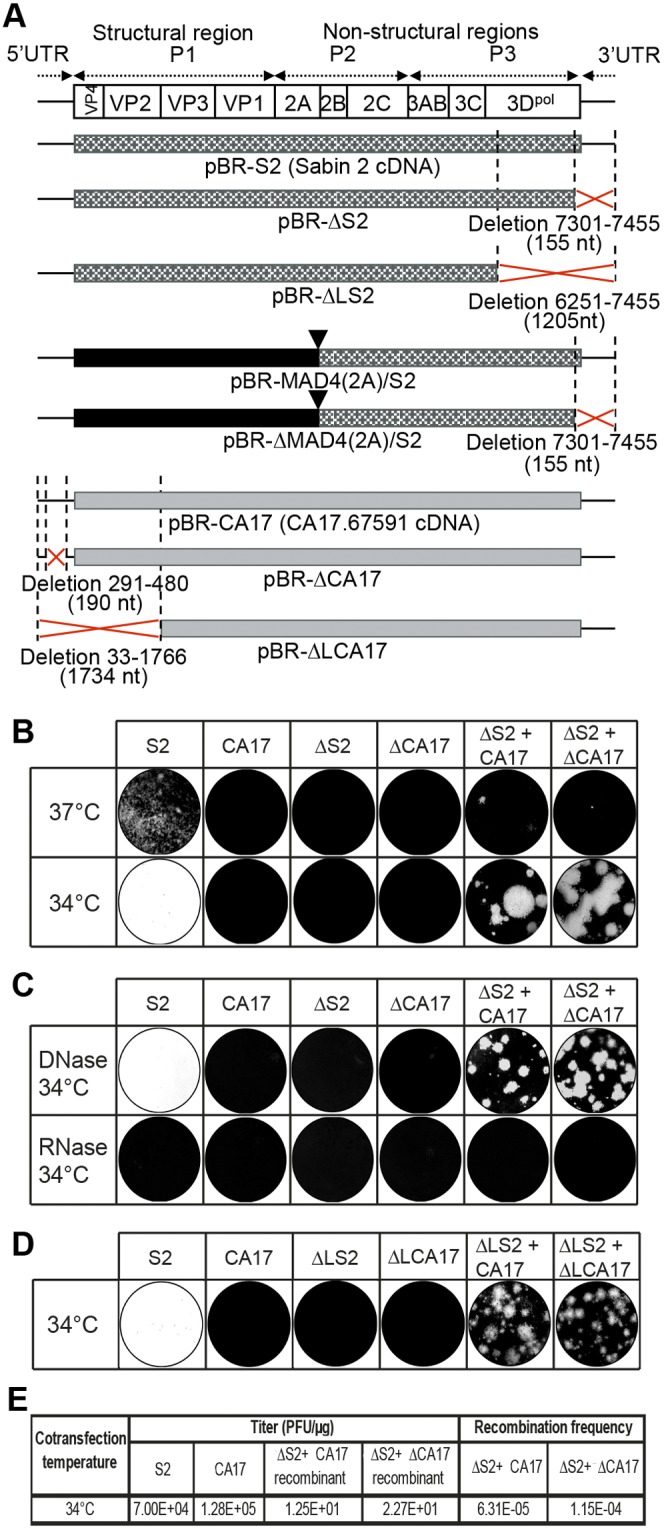 FIG 1 