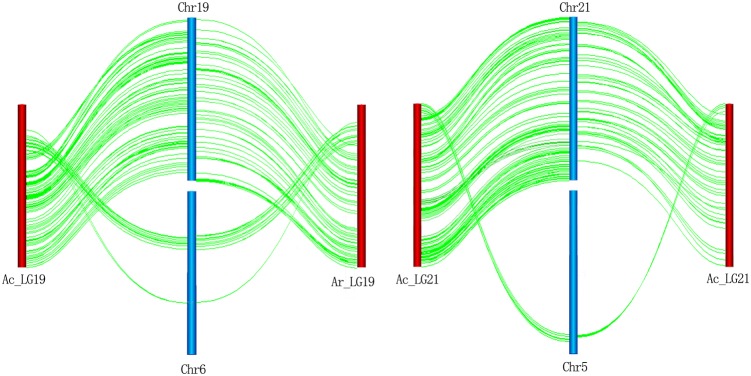 Figure 4.