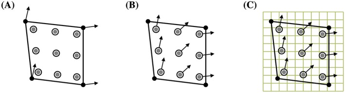 cnm2888-fig-0003