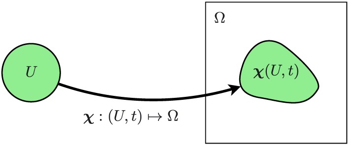 cnm2888-fig-0001