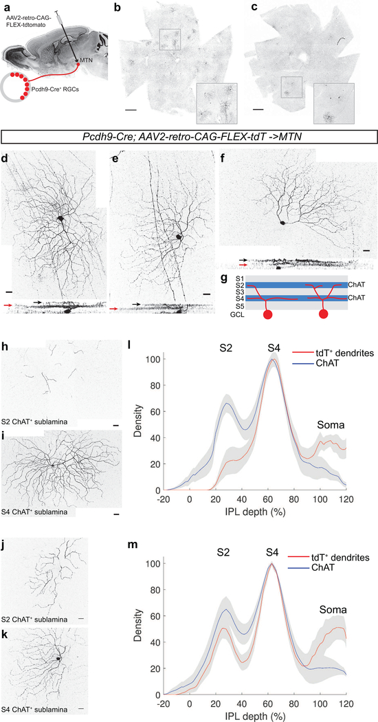 Figure 3: