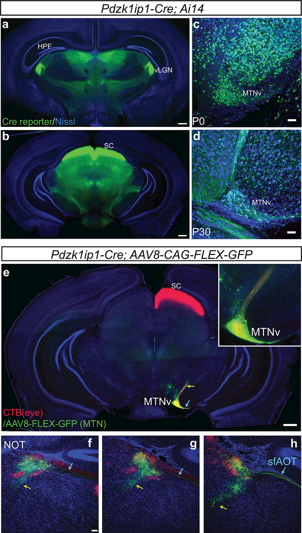 Figure 6: