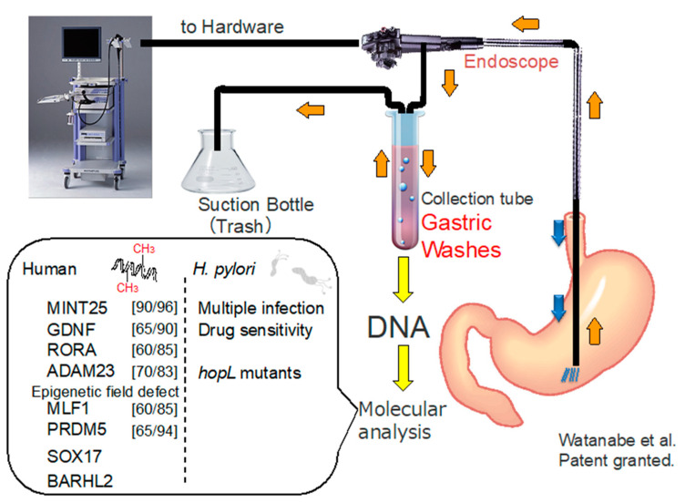 Figure 7