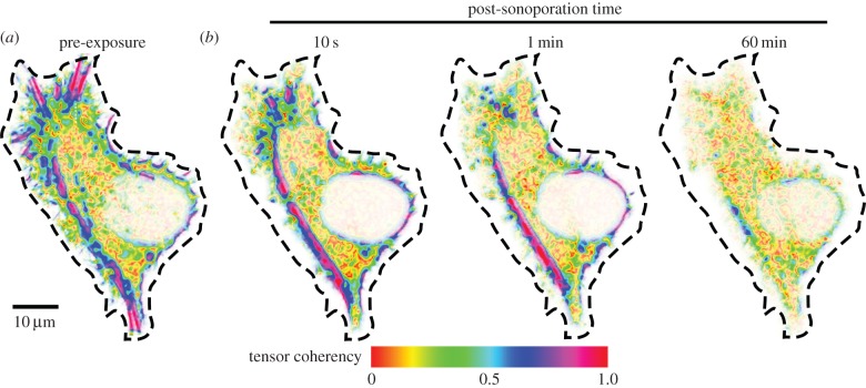 Figure 3.