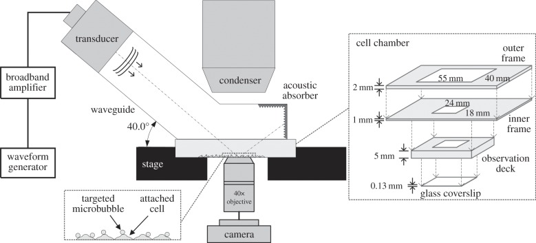 Figure 1.