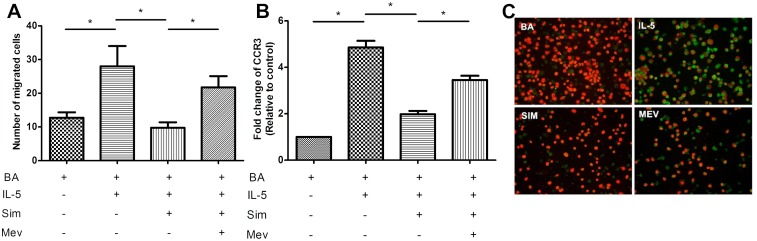 Fig 5