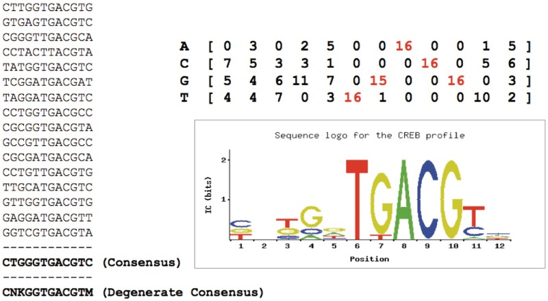 Figure 1: