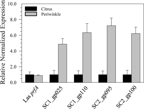 FIG 1