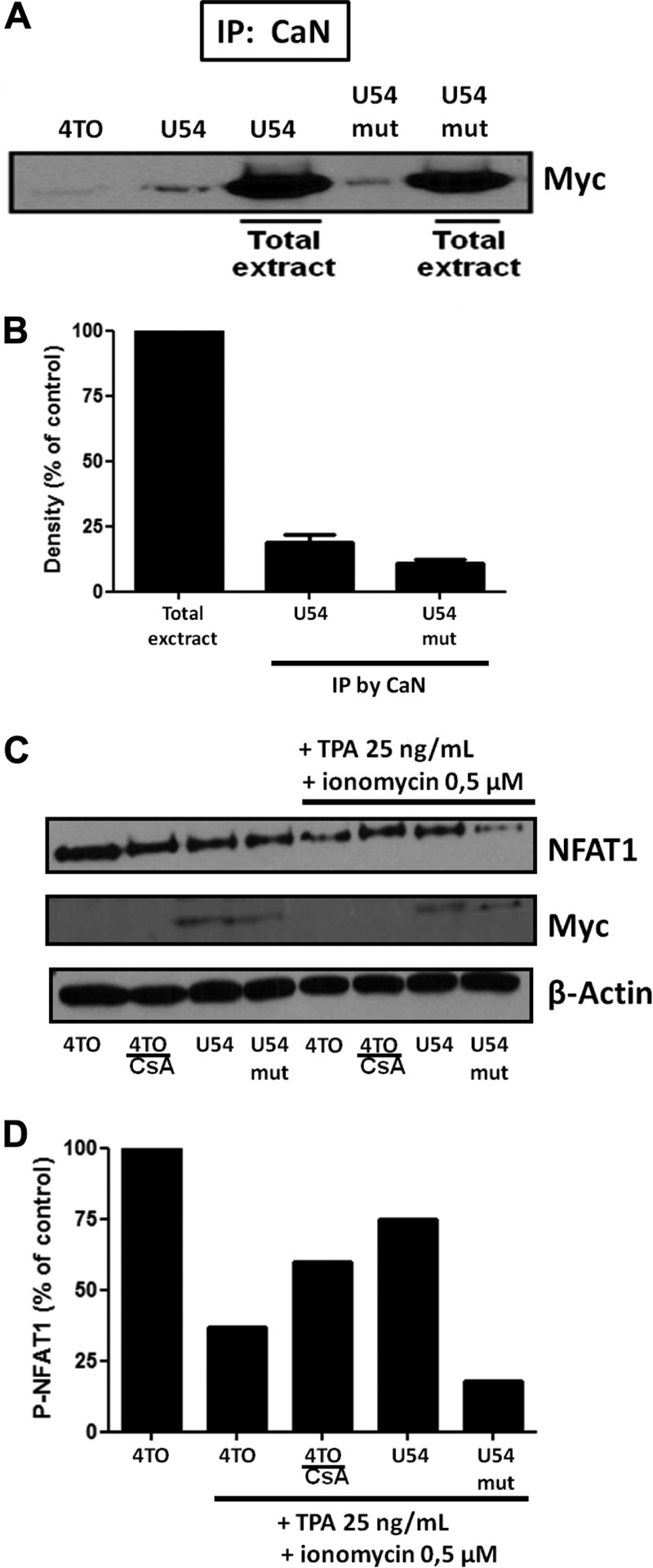 FIG 8