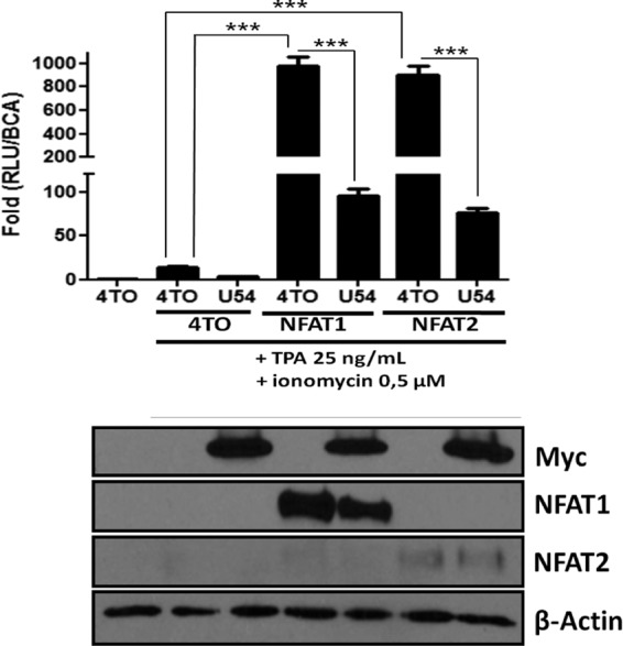 FIG 3