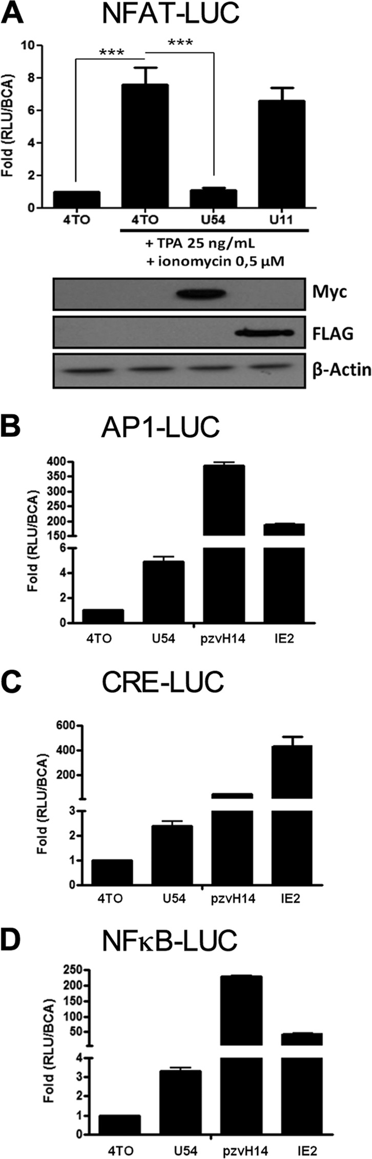 FIG 2