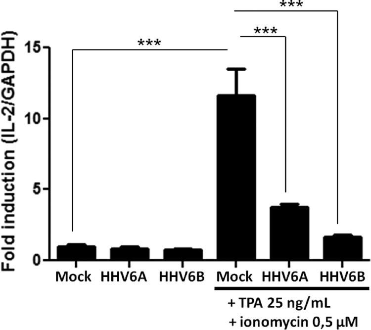 FIG 1