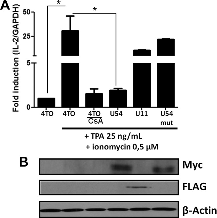 FIG 10