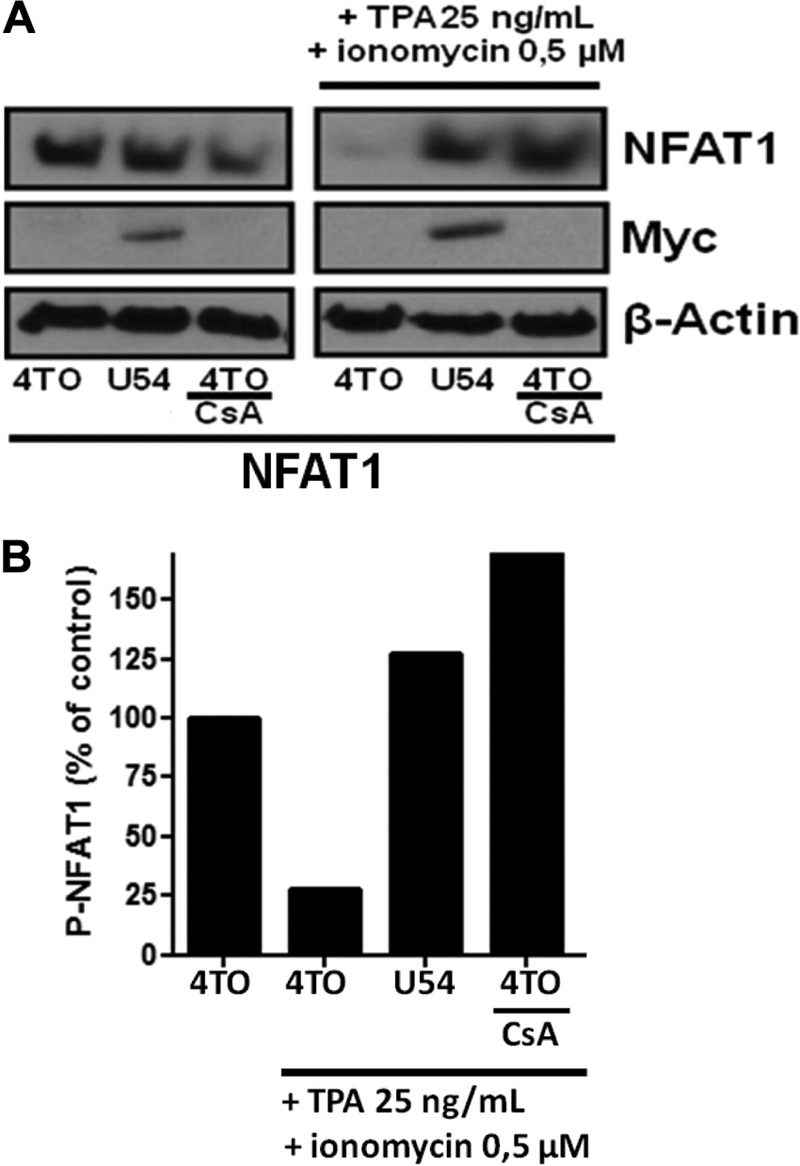 FIG 6