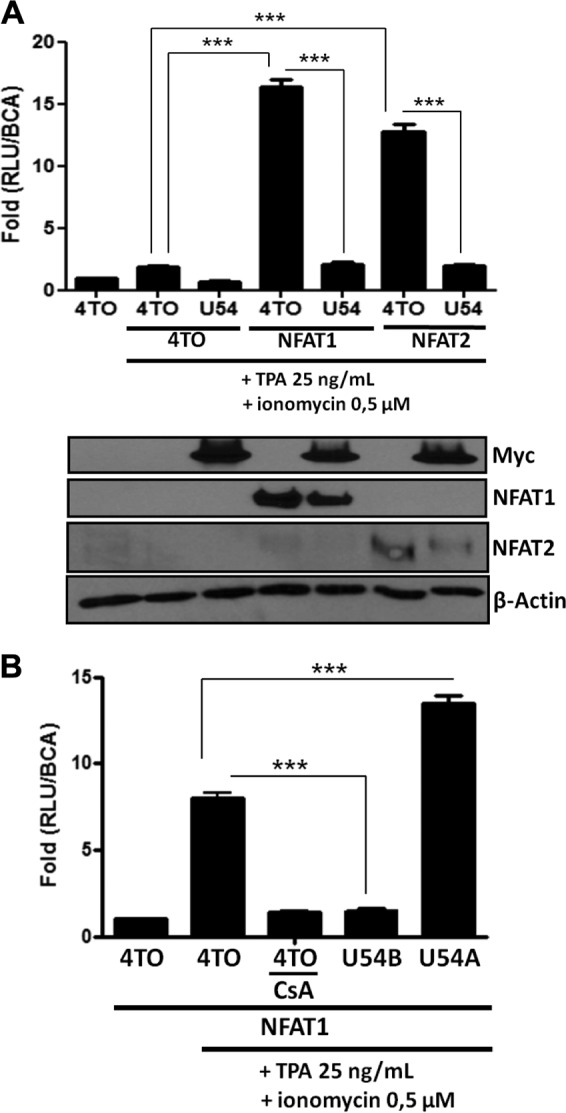 FIG 4